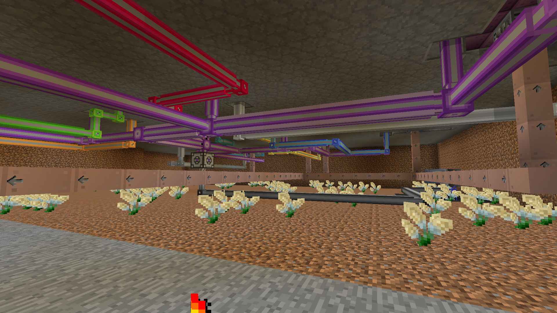 Day 42 | EV | An Established AE2 Network Takes Shape